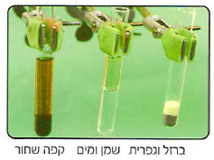 (בספר תמונה, היעזר במנחה)